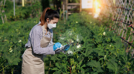 farmer woman using tablet to check quality and modern interface icons,  Business agriculture technology concept.