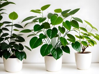 plant in flowerpot created with Generative AI technology