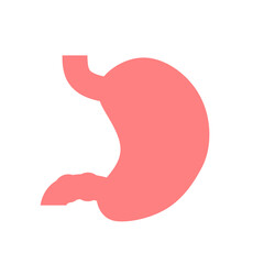 stomach. gastric disease. stomach ache. digestive process. gastric bacteria. gerd