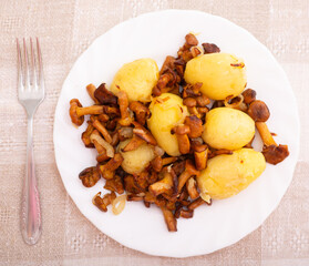 delicious forest mushrooms chanterelles with young potatoes fried on white plate. top view