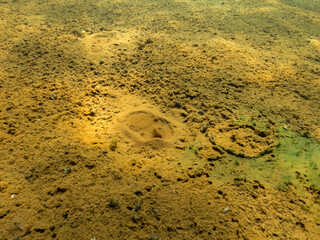 Groundwater discharging underwater through soft lake sediment