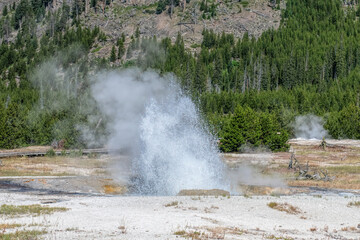 Plakat the geyser in yellowstone national park