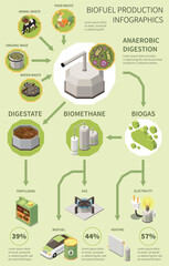 Biofuel Production Infographics