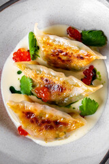 Gyoza or dumplings snack with sauce