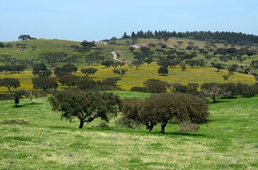 Paisaje típico alentejano, Portugal