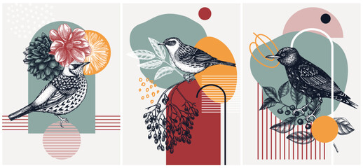 Collage-style bird cards set. Sketched birds trendy poster collection. Creative designs with botanical illustrations, geometric shapes, and abstract elements for nature print, wall art, packaging. - 573178142