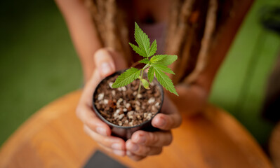 Hippie style woman growing medical marijuana bush