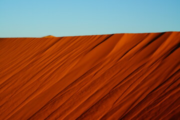 sand dunes in the desert