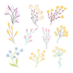 Fototapeta na wymiar Collection of vector floral elements in flat design
