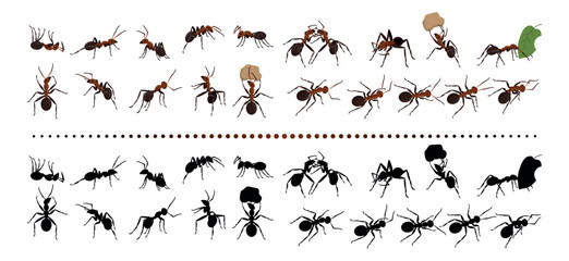 Red ants. Nature insects group. Garden termites. Bugs black silhouettes. Life species. Natural animals crawling and carrying leaves. Beetle actions set. Vector current design collection