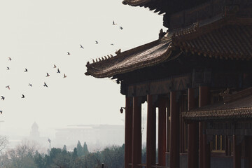 pavilion in the forbidden city