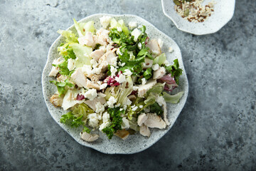 Green salad with chicken and Feta cheese