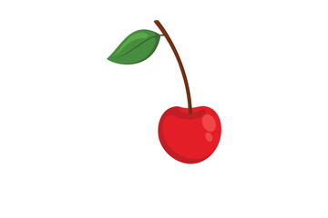 Cherry fruit vector illustration isolated on white background.