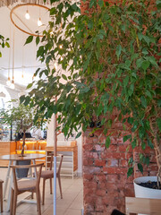 A plant against a brick wall, a design element in the modern interior of an empty cafe in vintage style, with wooden tables. Vertical photo