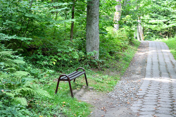 Wooden bench for tourists on the hiking trail