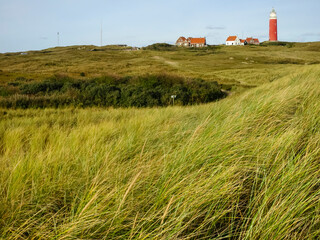 Landscape at Texel