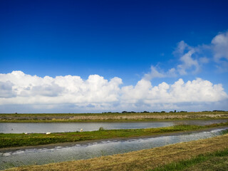 Landscape at Texel