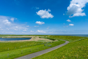 Landscape at Texel