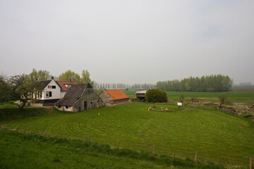 Fruitbomen; Orchards