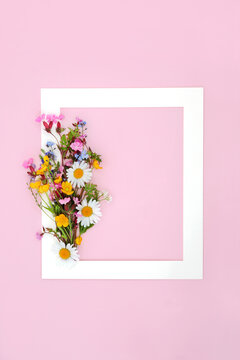 European wildflower posy abstract border on pink background. Minimal abstract frame, beautiful Spring nature composition for Mothers Day, Easter, birthday. Copy space.