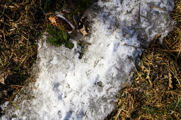 Spring ground covered with thawing snow