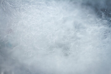 Fototapeta premium Extreme macro of polyester stable fiber