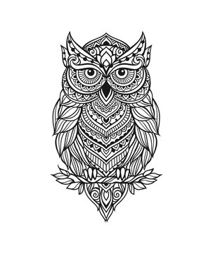 Owl zen art mandala in line art style. Vector Illustration
