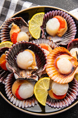 fresh scallop shell seafood meal snack on the table copy space food background rustic top view 