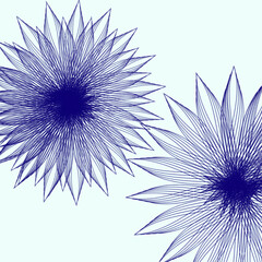 blue flower on white background