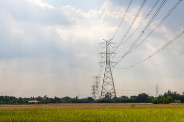 High voltage electric pylon and electrical wire with rice field. Electricity pylon with sky. Power and energy concept. 