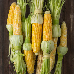 Heap of fresh raw corn on the cob