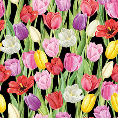 Seamless pattern with tulips flowers on white background, watercolor floral pattern, suitable for wallpaper, card or fabric.