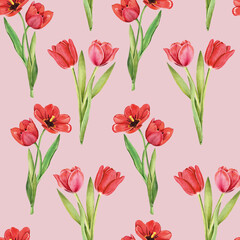 Obraz premium Seamless pattern with tulips flowers on white background, watercolor floral pattern, suitable for wallpaper, card or fabric.