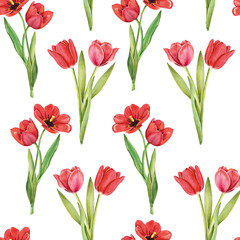 Seamless pattern with tulips flowers on white background, watercolor floral pattern, suitable for wallpaper, card or fabric.