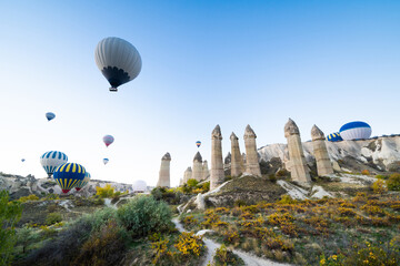 Fototapeta na wymiar beautiful scenery flight of balloons in the mountains of Cappadocia in love valley