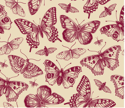 Seamless pattern. Butterfly Butterflies animals moths insect fly peacock makhaon mosquito realistic isolated. Vintage fabric background. Wallpaper. Drawing engraving. Vector victorian Illustration    