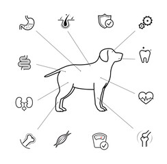 Vitality icon set for dog. The outline icons are well scalable and editable. Contrasting elements are good for different backgrounds. EPS10.