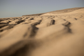 footprints in sand fuerteventura