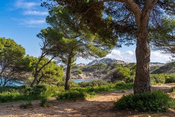 Cala Molto ist eine Bucht der spanischen Baleareninsel Mallorca | Spanien | Espana