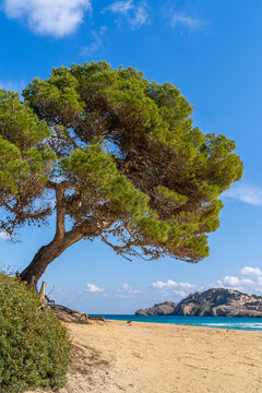 Cala Agulla ist eine Bucht der spanischen Baleareninsel Mallorca | Spanien |&nbsp;Espana
