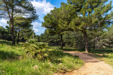 Wandern von der Cala Mesquida zur Cala Agulla | Baleareninsel Mallorca | Spanien | Espana