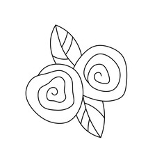 Vector isolated two spiral roses with leaves top view colorless black and white contour line easy drawing