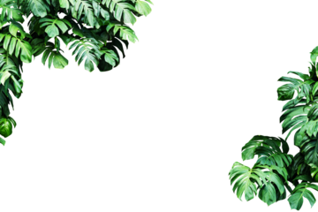 square frame surrounded by monstera leaves with copy space