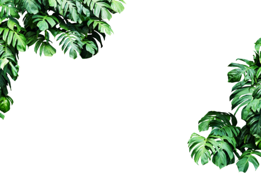 square frame surrounded by monstera leaves with copy space