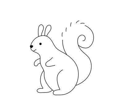 Vector isolated one single cute cartoon squirrel colorless black and white contour line easy drawing