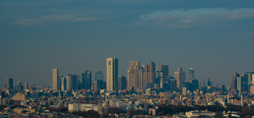 新宿・都庁の景色 (コピースペースあり)