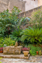 Obraz premium Garten im Hinterhof im Ort Sineu |&nbsp;Mallorca