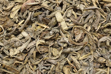 Dried green tea leaves close-up