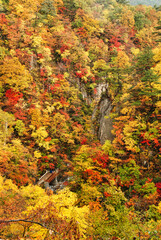 Japanese scenery - autumn in the mountains