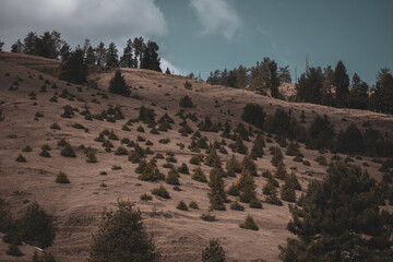Clouds over the mountains
